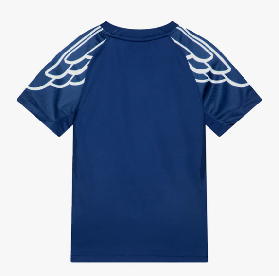 PSG X JORDAN WINGS - BLUE